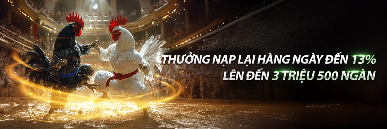 Đá gà trực tuyến EV88 link mới